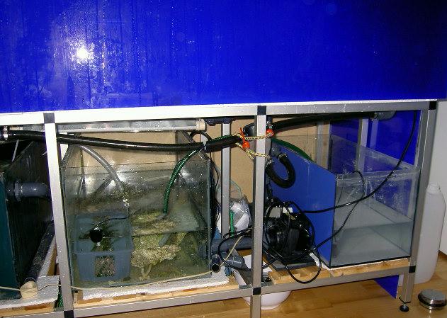 PICT0705.JPG