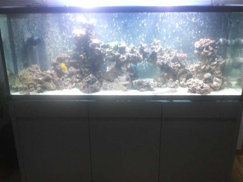 IMG010.jpg