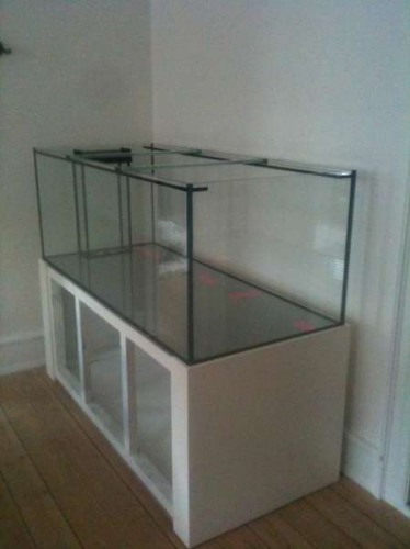 foto 2 (2).JPG