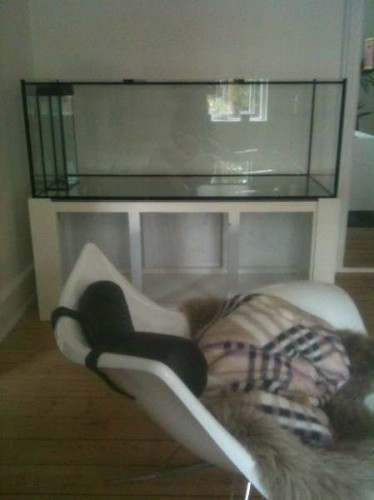 foto 3 (2).JPG