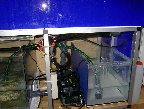 PICT0711.JPG