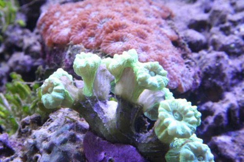 IMG_9570.JPG