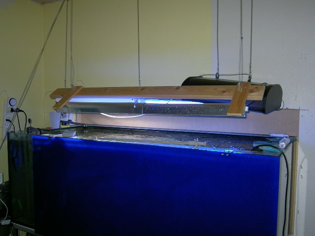 PICT0708.JPG