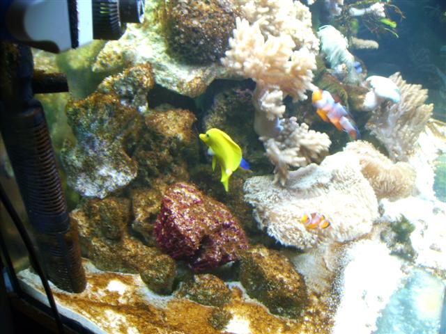 PICT0109 (Small).JPG