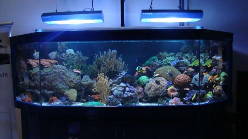 Deres 2000L display akvarie