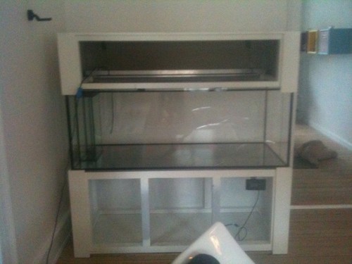 foto 2.JPG