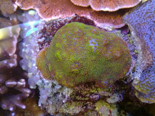 18072011745.jpg