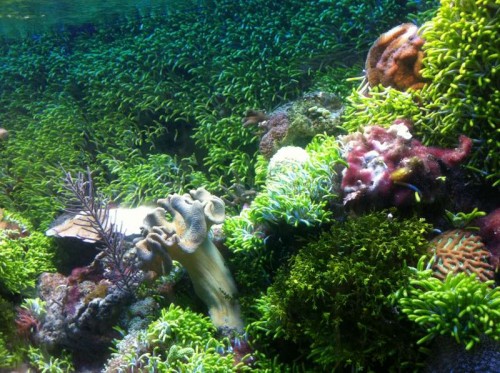 Photo 22-07-11 14.38.40.jpeg