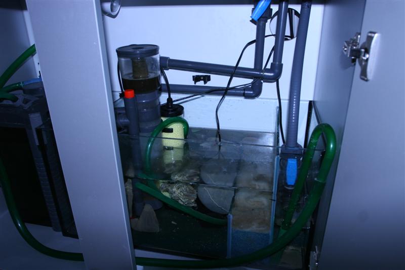 16 november sump.jpg
