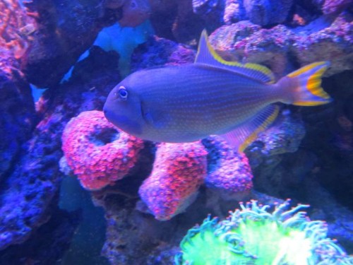IMG_0154.JPG
