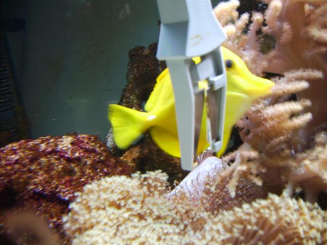 PICT0110 (Small).JPG