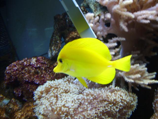 PICT0111 (Small).JPG