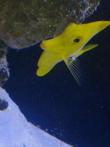 30072011507.jpg