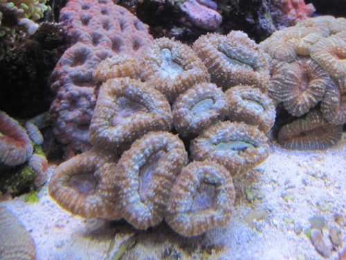 IMG_2236.jpg
