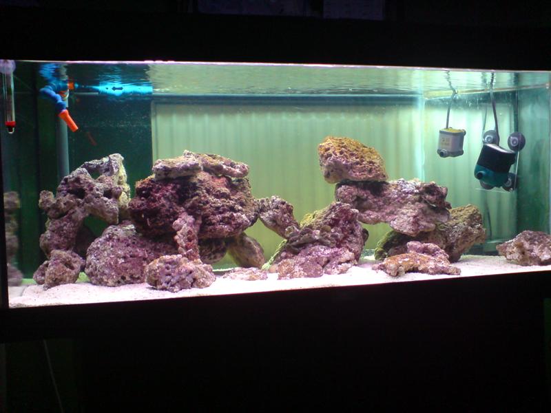ReeZ's 160L Aqua crib