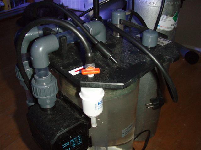 PC063172 (Small).JPG