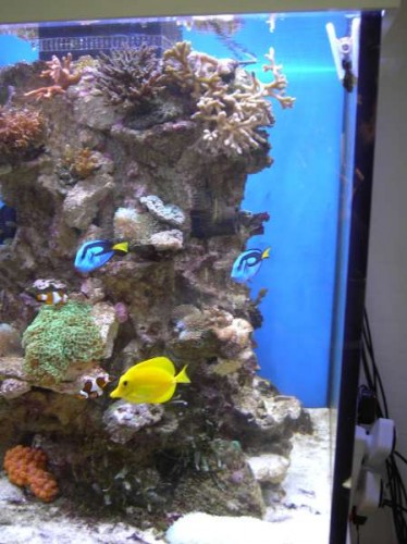 akv 9. aug 2011 009.JPG