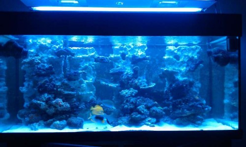 IMAG0092.jpg