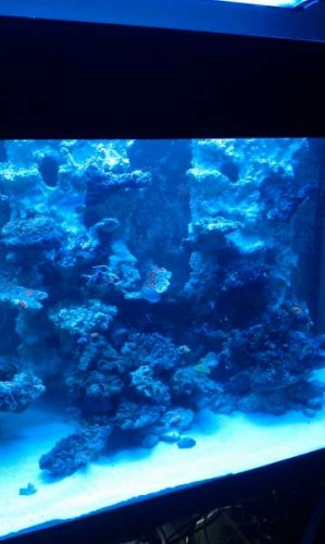 IMAG0094.jpg