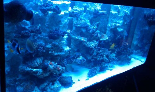 IMAG0095.jpg