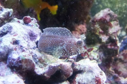 2011-08-09 13.35.574.jpg