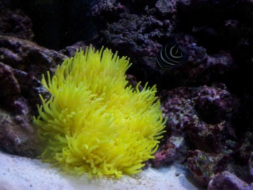 2011-08-09 13.27.03.jpg