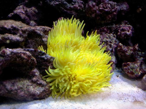 2011-08-09 13.24.399.jpg