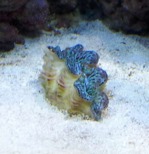 2011-08-09 13.23.33777.jpg