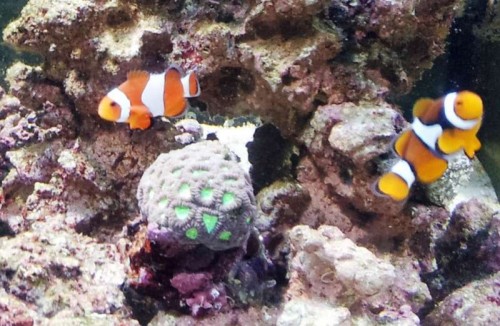 2011-08-09 13.23.063.jpg