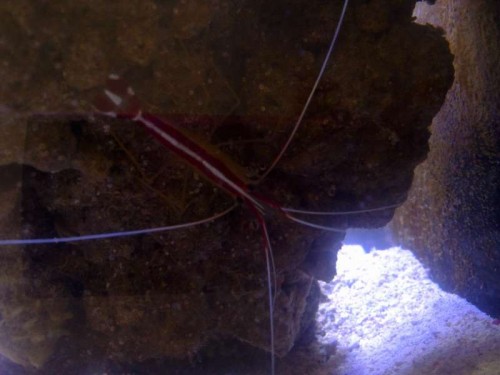 09082011598.jpg