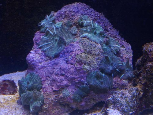 09082011607.jpg