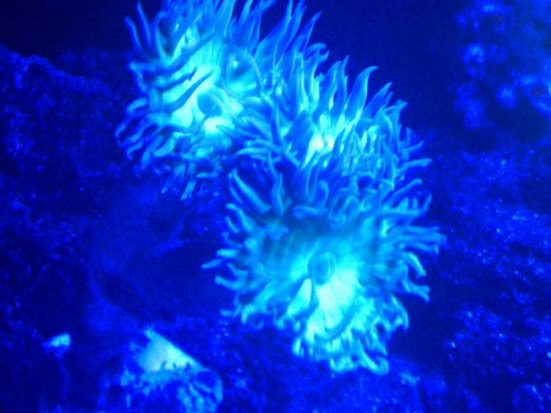 09082011640.jpg