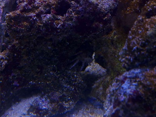 09082011606.jpg