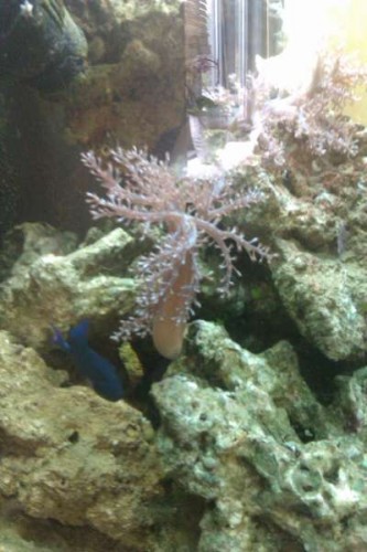IMAG0404.jpg