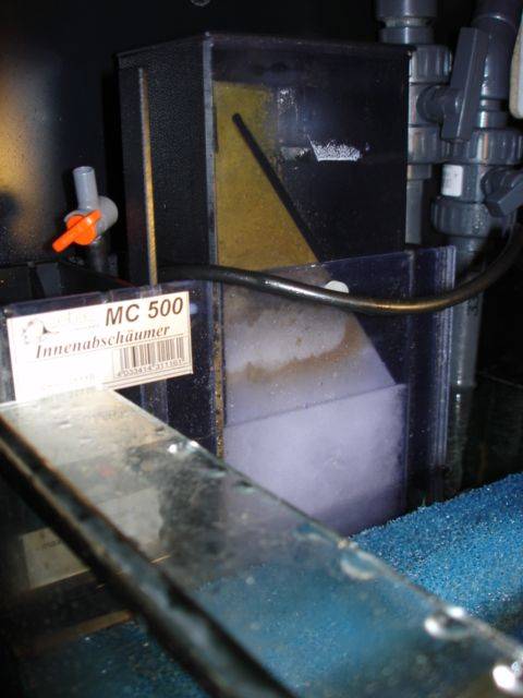 Resized_DSC01314.jpg