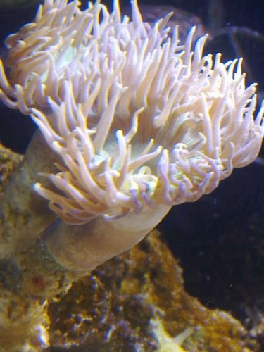 11082011663.jpg