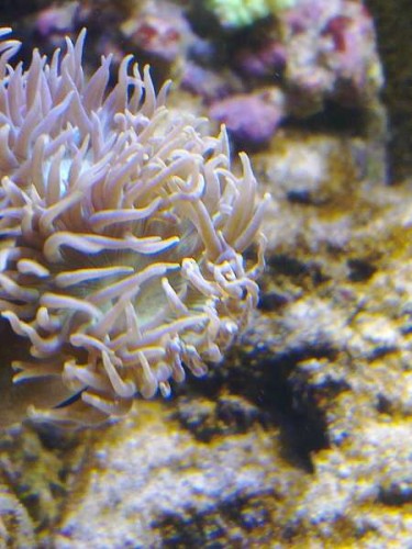 11082011667.jpg