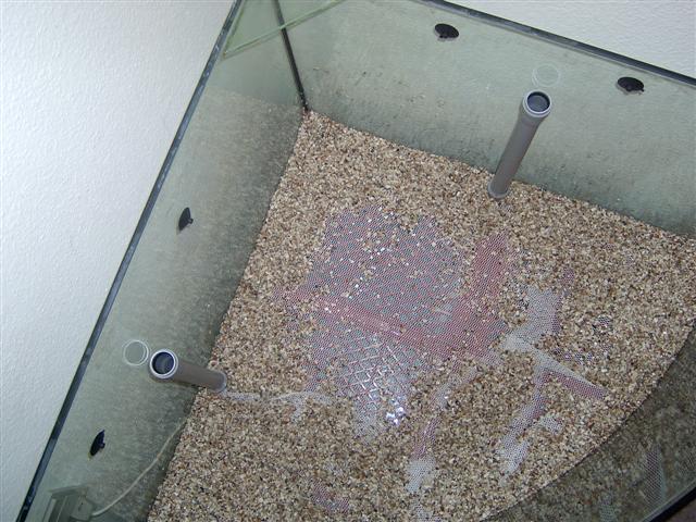nyår 2005 035 (Small) (2).jpg