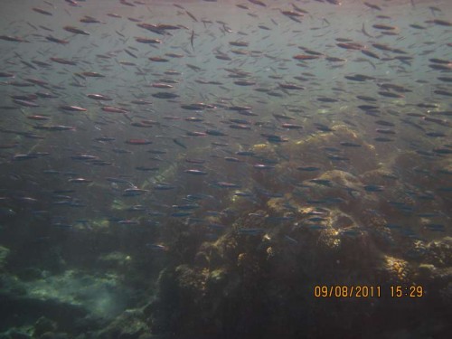 IMG_2823.JPG