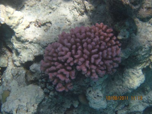 IMG_2950.JPG