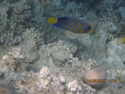 IMG_3394.JPG