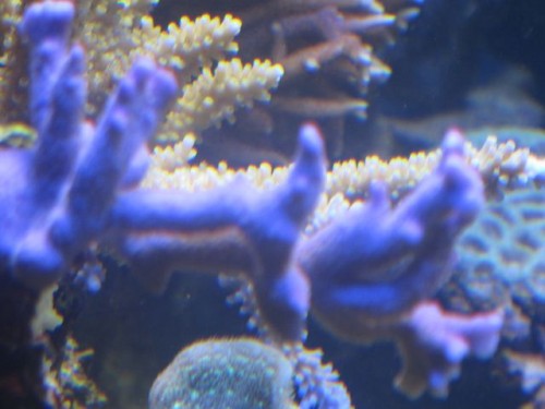 IMG_2410.jpg