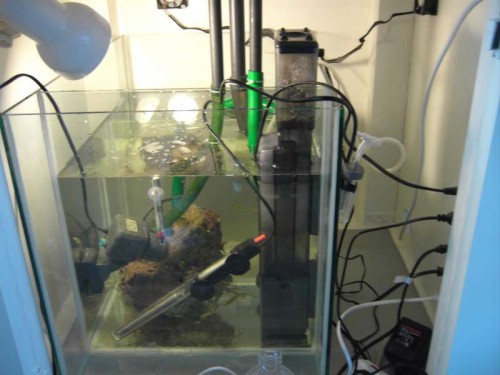 sump 002.JPG
