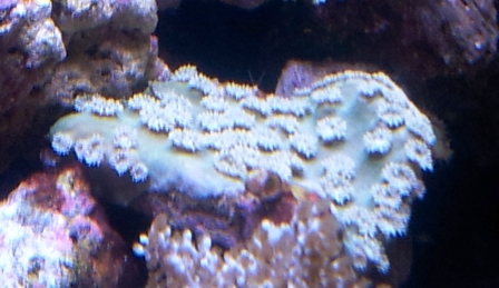 2011-09-12 12.17.40.jpg