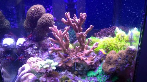 16092011230.JPG