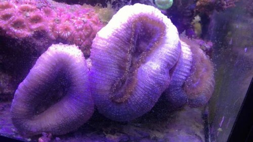 17092011236.JPG