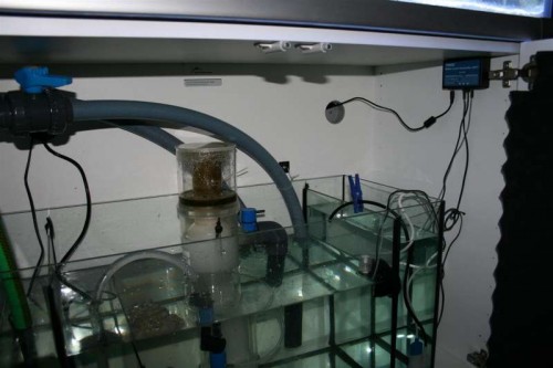 IMG_0838 (Large).JPG