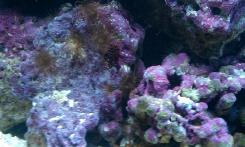 IMAG0141.jpg
