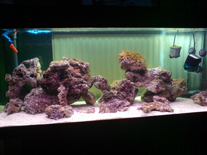 DSC00740 (Medium).JPG