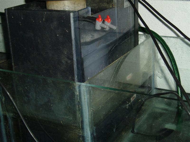 PC120010 (Medium).JPG